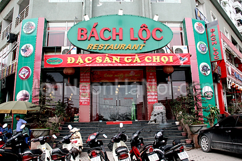 Khám phá nhà hàng Bách Lộc Khám phá nhà hàng Bách Lộc