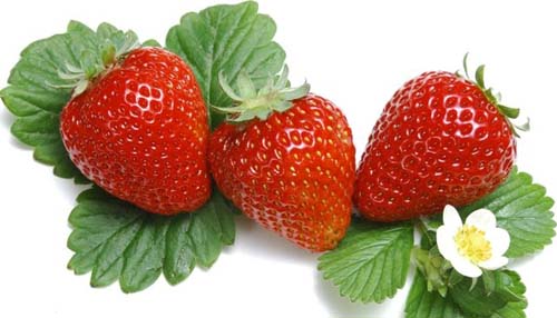 Đẹp diệu kỳ với dâu tây Đẹp diệu kỳ với dâu tây