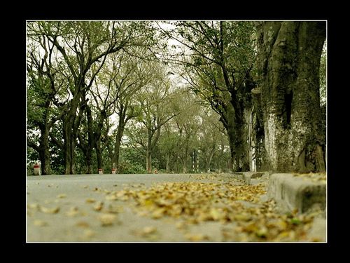 "Mùi "Hà Nội 