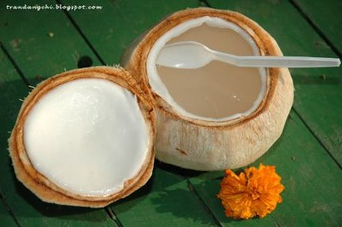 Rau câu dừa xiêm – món quà của mùa hè Rau câu dừa xiêm – món quà của mùa hè